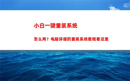 小白一键重装系统怎么用？电脑详细的重装系统教程看这里(小白一键重装系统会丢失电脑文件吗)
