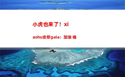 小虎也来了！xiaohu安慰gala：加油 嘠