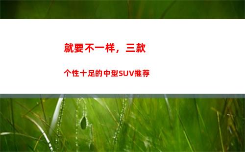 就要不一样，三款个性十足的中型SUV推荐(就要和别人不一样)