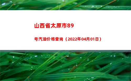 山西省太原市89号汽油价格查询（2022年04月01日）