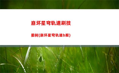崩坏星穹轨道通缉照(崩坏之星穹轨道下载)