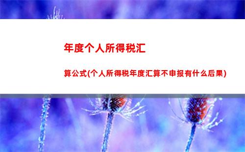 房屋个人所得税(房屋个人所得税怎么申报退税)