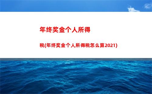 个人所得税vb(个人所得税vba代码If函数)