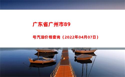 广东省广州市89号汽油价格查询（2022年04月07日）
