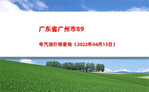 广东省广州市89号汽油价格查询（2022年04月13日）