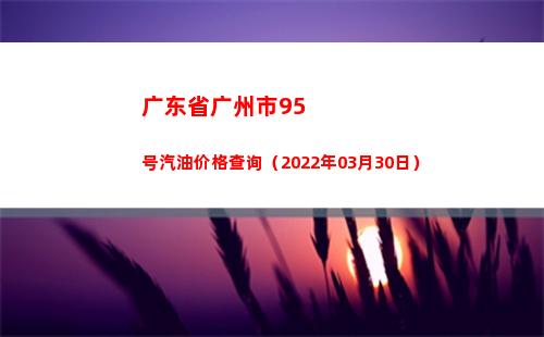 广东省广州市95号汽油价格查询（2022年03月30日）