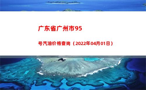 广东省广州市95号汽油价格查询（2022年04月01日）