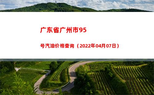 广东省广州市95号汽油价格查询（2022年04月07日）