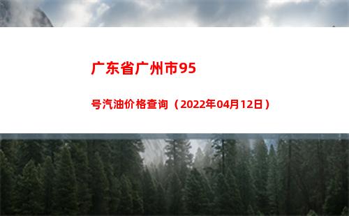 广东省广州市95号汽油价格查询（2022年04月12日）