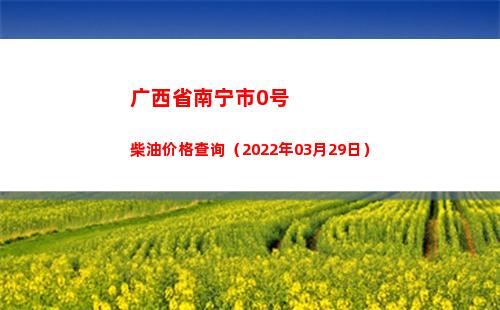广西省南宁市0号柴油价格查询（2022年03月29日）