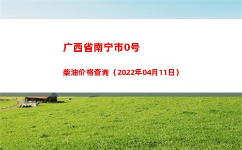 广西省南宁市0号柴油价格查询（2022年04月11日）