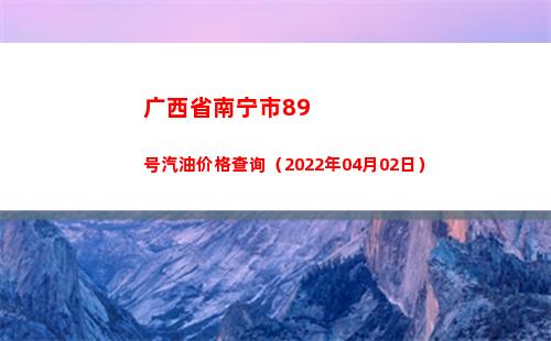 广西省南宁市89号汽油价格查询（2022年04月02日）