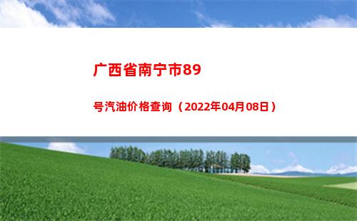 广西省南宁市89号汽油价格查询（2022年04月08日）