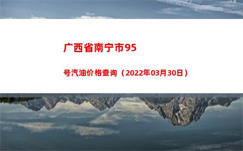 广西省南宁市95号汽油价格查询（2022年03月30日）