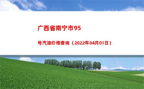 广西省南宁市95号汽油价格查询（2022年04月01日）