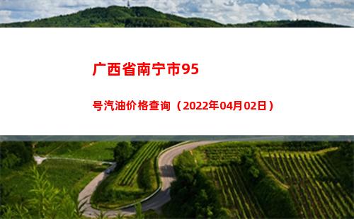 广西省南宁市95号汽油价格查询（2022年04月02日）