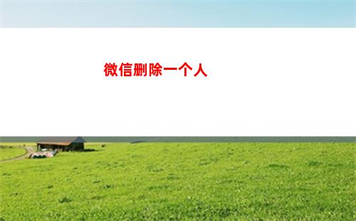 微信删除一个人(微信删除一个人意味着什么)