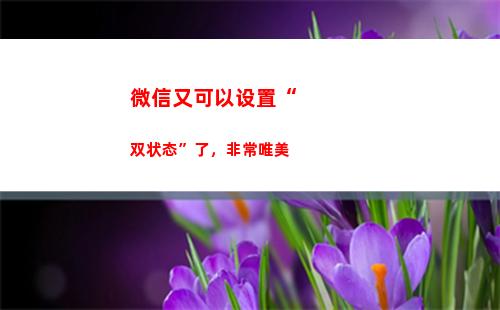 微信又可以设置“双状态”了，非常唯美(微信视频设置在哪里可以找到)
