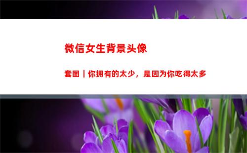 微信女生背景头像套图｜你拥有的太少，是因为你吃得太多(微信女生背景头像2022年最新版图片)