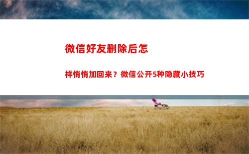 微信好友删除后怎样悄悄加回来？微信公开5种隐藏小技巧(如何恢复微信删除的好友)