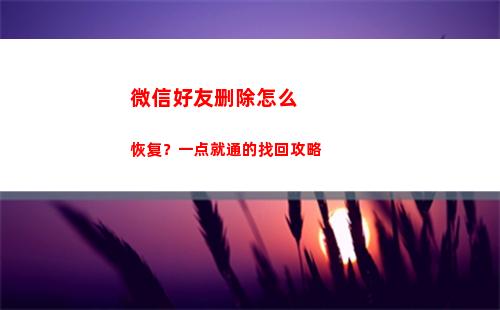 微信好友删除怎么恢复？一点就通的找回攻略(微信如何找回删除的好友)