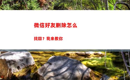 微信好友删除怎么找回？我来教你(微信好友删除怎么用邮箱找回来)