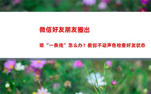 微信好友朋友圈出现“一条线”怎么办？教你不动声色检查好友状态(微信好友朋友圈出现横杠)