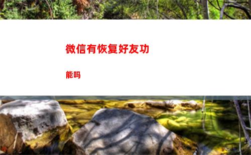 微信有恢复好友功能吗(微信不花钱恢复好友)