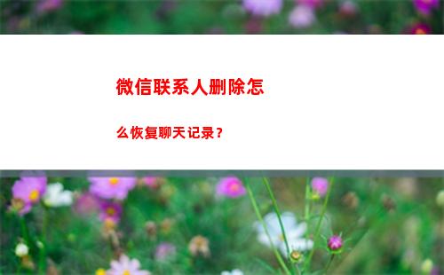 微信联系人删除怎么恢复聊天记录？(微信联系人恢复免费版)