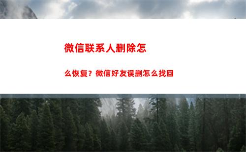 微信联系人删除怎么恢复？微信好友误删怎么找回(微信不小心删除了好友怎么恢复)