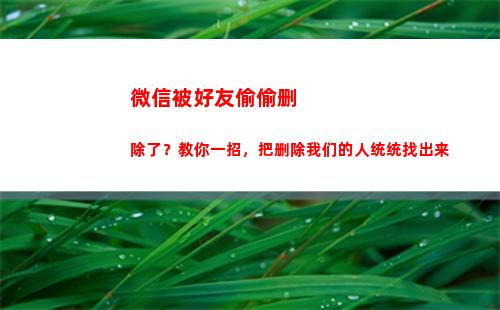 微信被好友偷偷删除了？教你一招，把删除我们的人统统找出来(微信好友位置偷偷查询)
