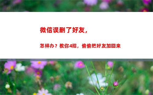 微信误删了好友，怎样办？教你4招，偷偷把好友加回来(微信误删了好友聊天记录)