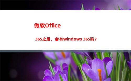 微软Office 365之后，会有Windows 365吗？(微软office创建的数据文件默认保存在)