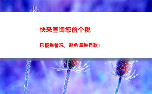 社保个税如何查询？轻松掌握个人缴税情况！(32字)