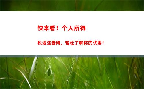 省时便捷查询个税，让你轻松掌握税务情况！