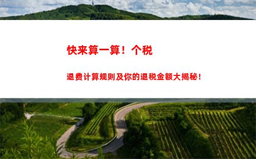 工薪所得个人所得税申报(个人所得税工薪金所得税怎么申报填写)