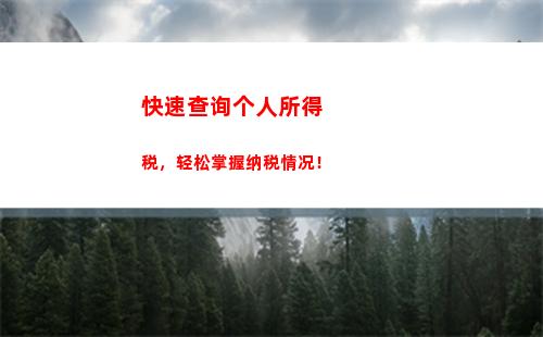 快速了解2020个税查询技巧，轻松查看个人所得税记录！