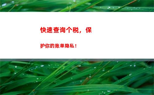 快来查询个人所得税，电话查询更方便！
