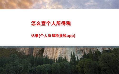 个人所得税初稿(个人所得税缴费记录查询)