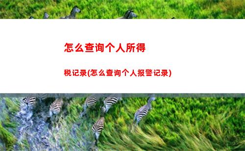 快速查询个税办理，让你告别繁琐操作！