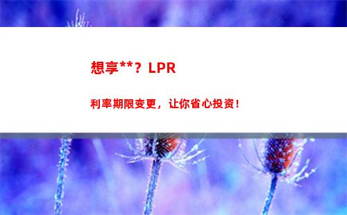 买房新手必看！选择固定利率还是LPR？看这篇分析，轻松抉择！