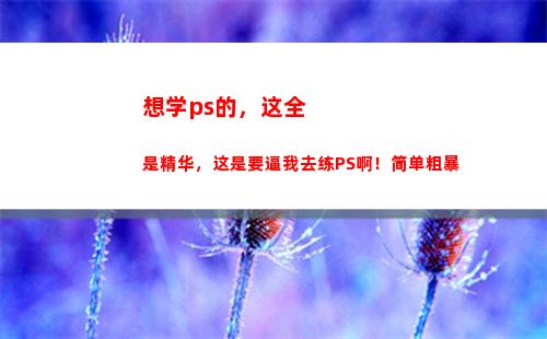 想学ps的，这全是精华，这是要逼我去练PS啊！简单粗暴