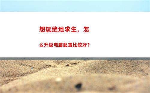 想玩绝地求生，怎么升级电脑配置比较好？(网吧怎么玩绝地求生)