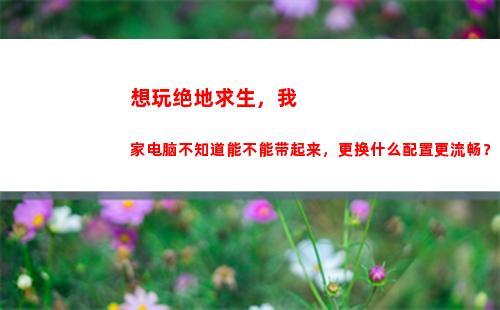 想玩绝地求生，我家电脑不知道能不能带起来，更换什么配置更流畅？(网吧怎么玩绝地求生)