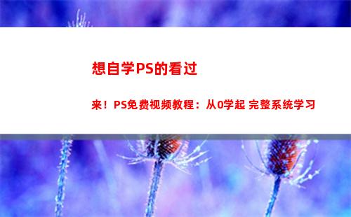 想自学PS的看过来！PS免费视频教程：从0学起+完整系统学习