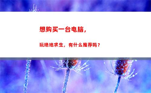 想购买一台电脑，玩绝地求生，有什么推荐吗？(小明购买了一台电脑)