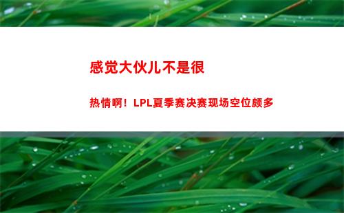 感觉大伙儿不是很热情啊！LPL夏季赛决赛现场空位颇多