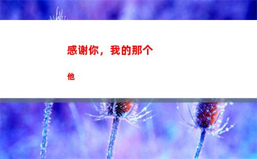 感谢你，我的那个他(感谢你曾经来过)