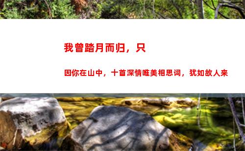 我曾踏月而归，只因你在山中，十首深情唯美相思词，犹如故人来(只因你在山中是什么意思)