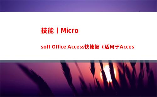 技能丨Microsoft Office Access快捷键（适用于Access2013/2016）